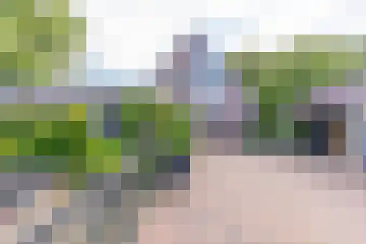 Zuiderdiep 448 A Valthermond thumbnail 48