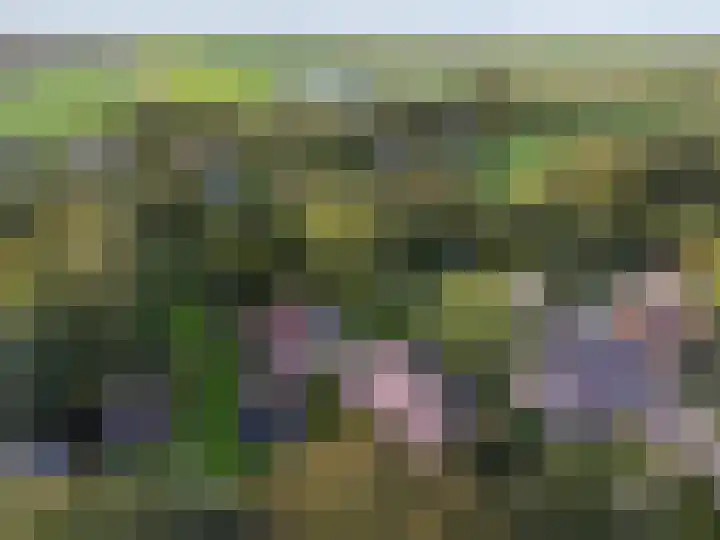 Zuiderdiep 448 A Valthermond thumbnail 5