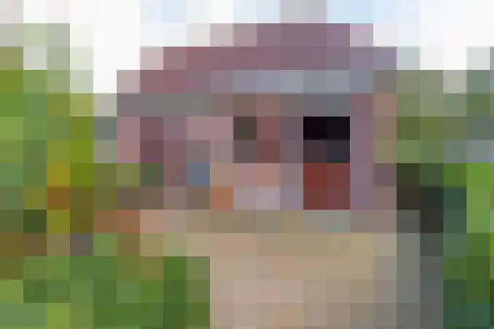 Zuiderdiep 448 A Valthermond thumbnail 53
