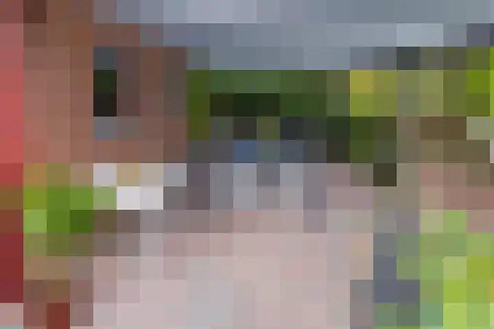Zuiderdiep 448 A Valthermond thumbnail 55