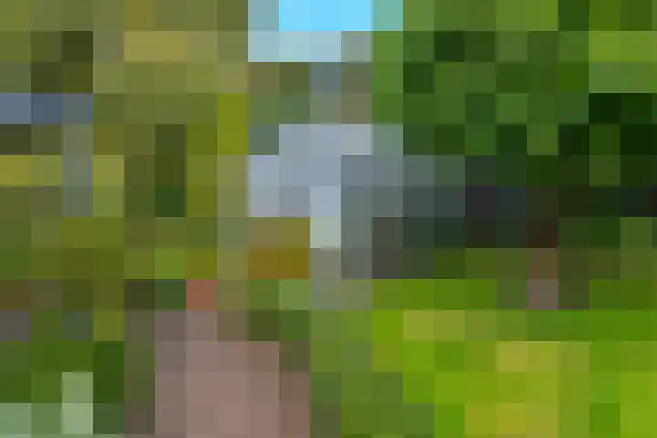 Zuiderdiep 448 A Valthermond thumbnail 56