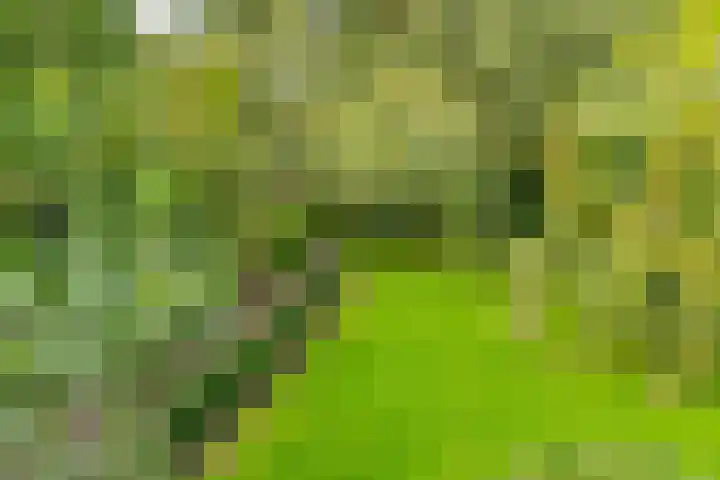 Zuiderdiep 448 A Valthermond thumbnail 57