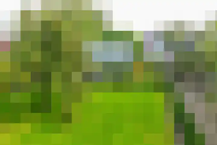 Zuiderdiep 448 A Valthermond thumbnail 58