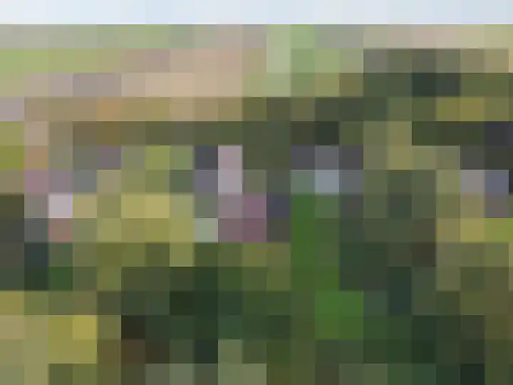 Zuiderdiep 448 A Valthermond thumbnail 6