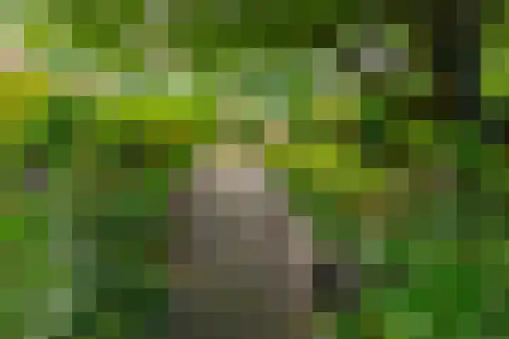 Zuiderdiep 448 A Valthermond thumbnail 62