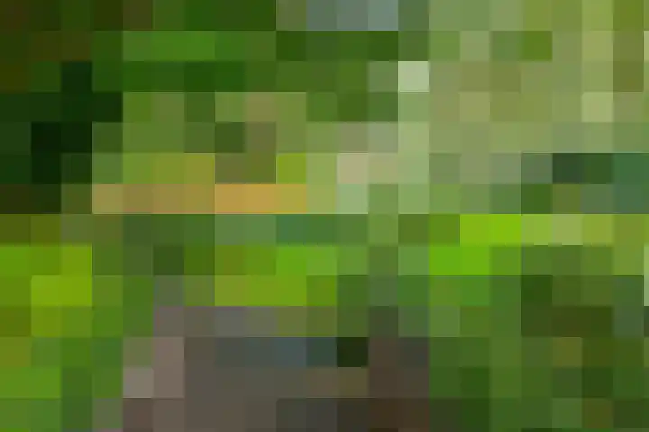 Zuiderdiep 448 A Valthermond thumbnail 63