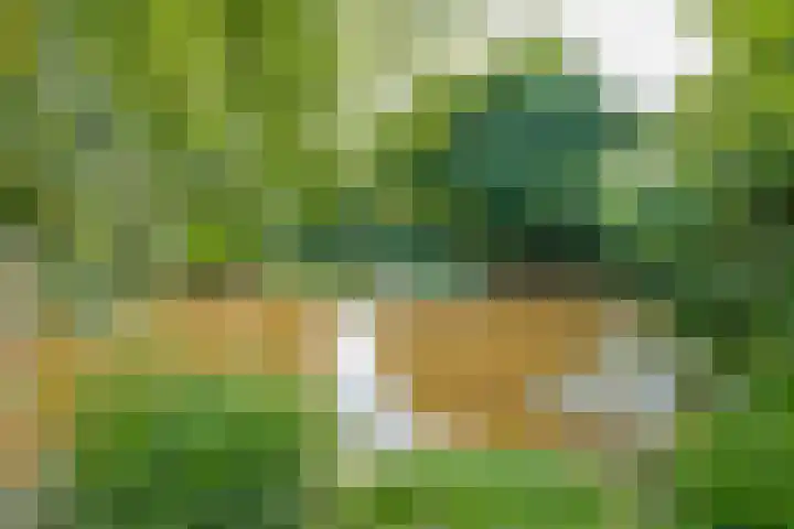Zuiderdiep 448 A Valthermond thumbnail 67