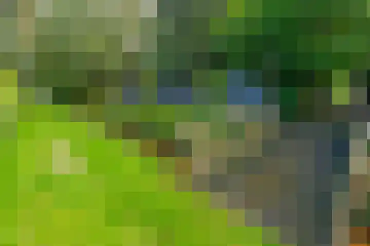 Zuiderdiep 448 A Valthermond thumbnail 68