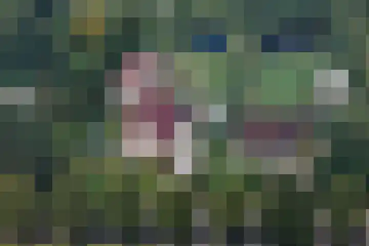 Zuiderdiep 448 A Valthermond thumbnail 69