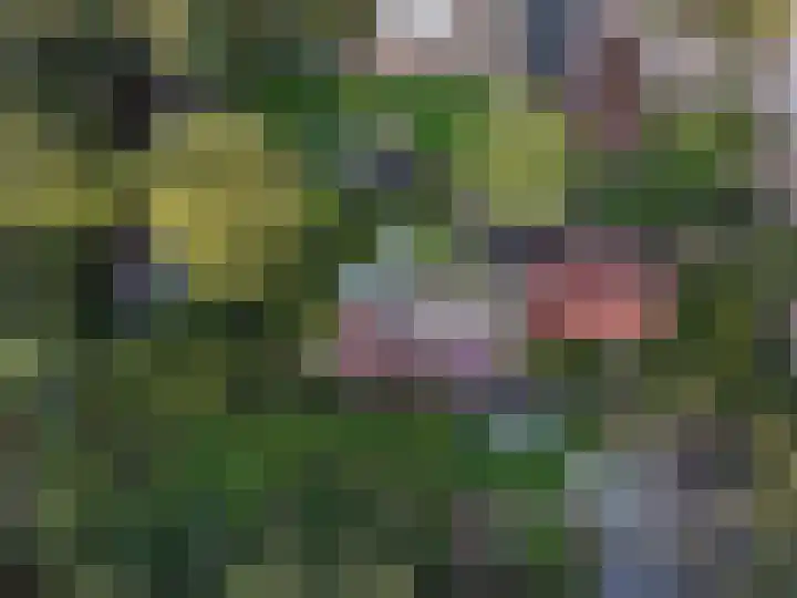 Zuiderdiep 448 A Valthermond thumbnail 7