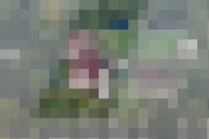 Zuiderdiep 448 A Valthermond thumbnail 70