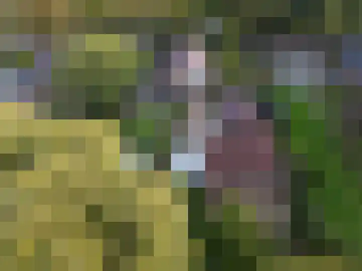 Zuiderdiep 448 A Valthermond thumbnail 73
