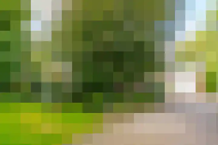 Zuiderdiep 448 A Valthermond thumbnail 8