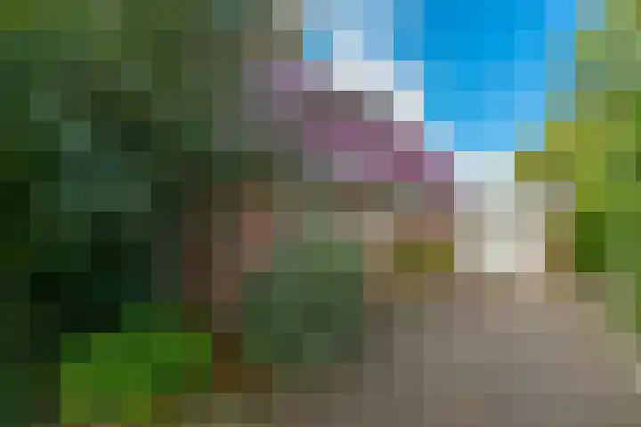 Zuiderdiep 448 A Valthermond thumbnail 9