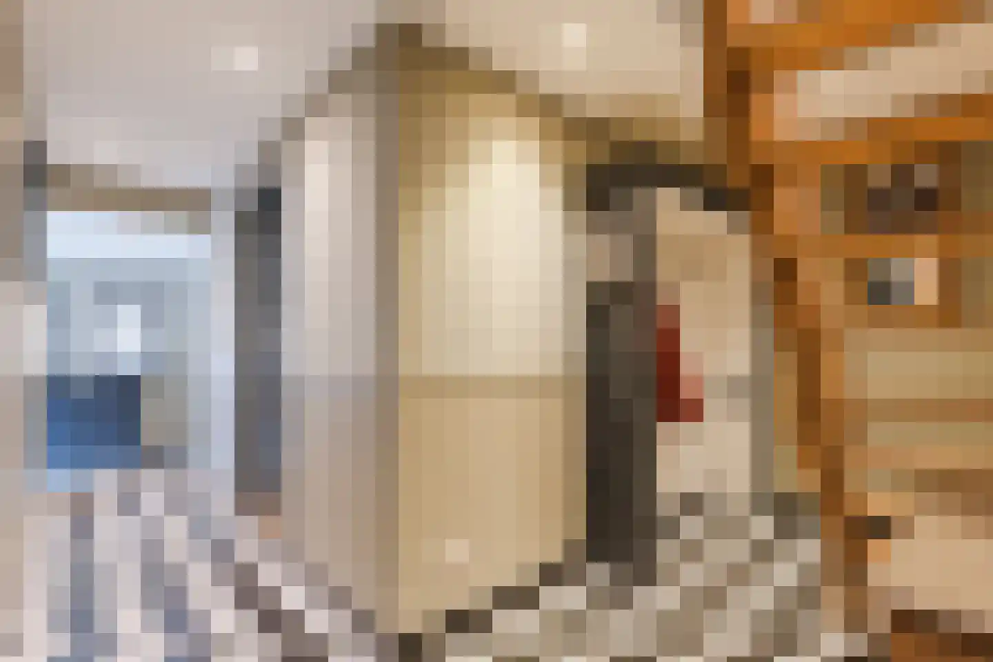 Zuiderdiep 461 Nieuw-Buinen thumbnail 23