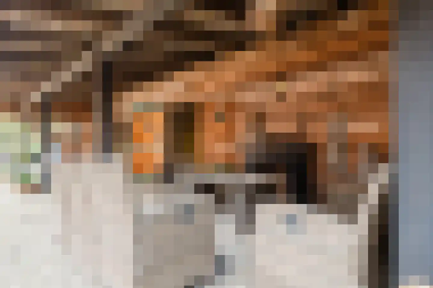Zuiderdiep 461 Nieuw-Buinen thumbnail 32