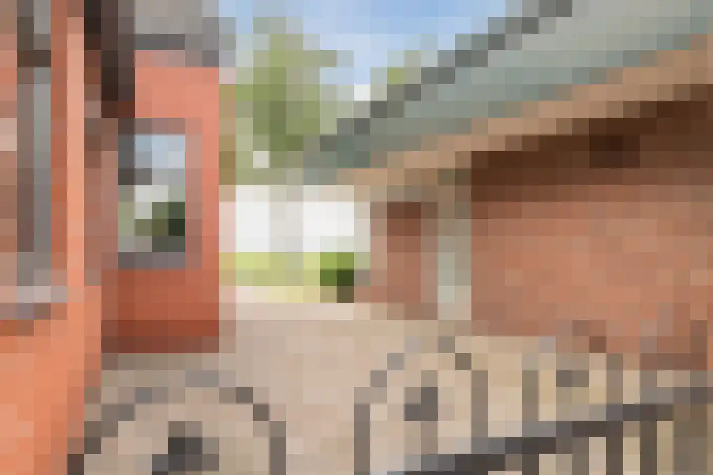 Zuiderdiep 461 Nieuw-Buinen thumbnail 41