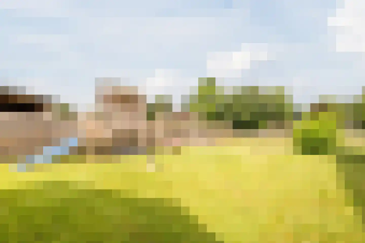 Zuiderdiep 461 Nieuw-Buinen thumbnail 42
