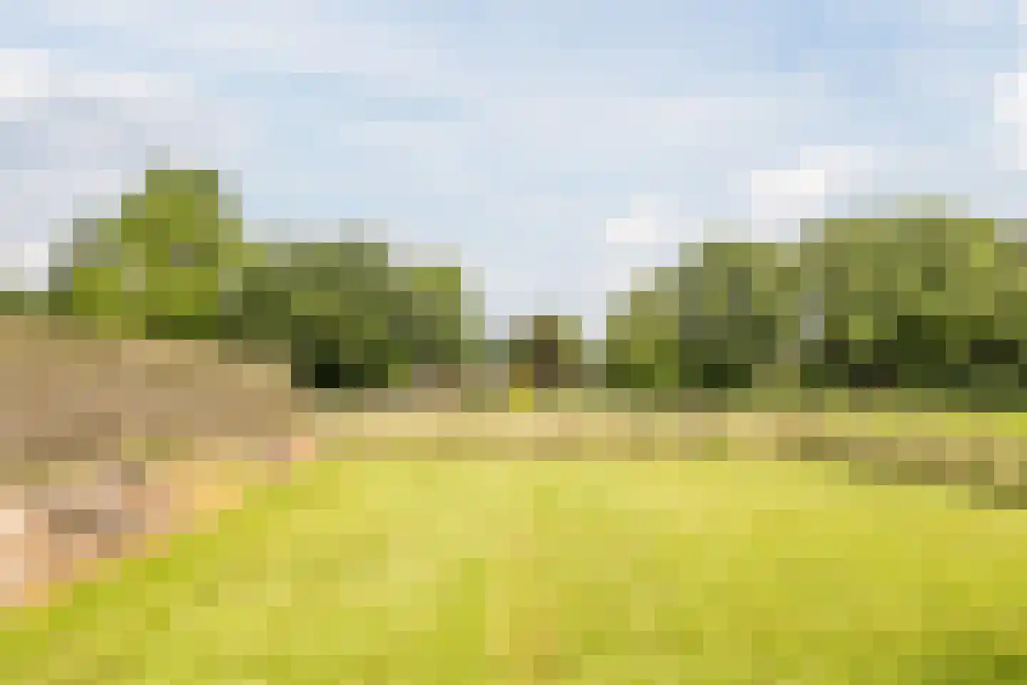 Zuiderdiep 461 Nieuw-Buinen thumbnail 43