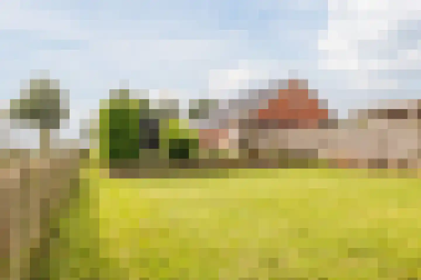 Zuiderdiep 461 Nieuw-Buinen thumbnail 44