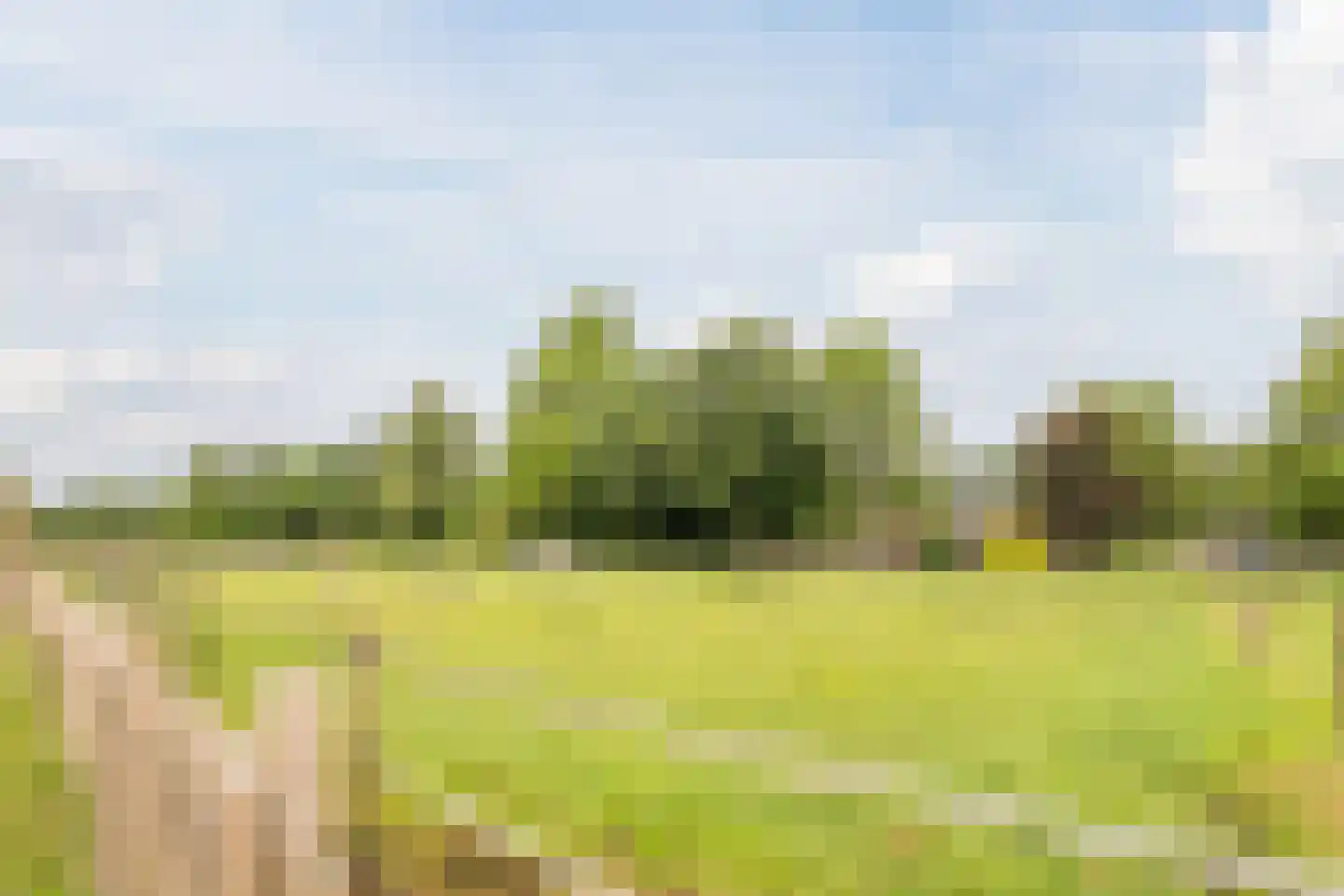 Zuiderdiep 461 Nieuw-Buinen thumbnail 45