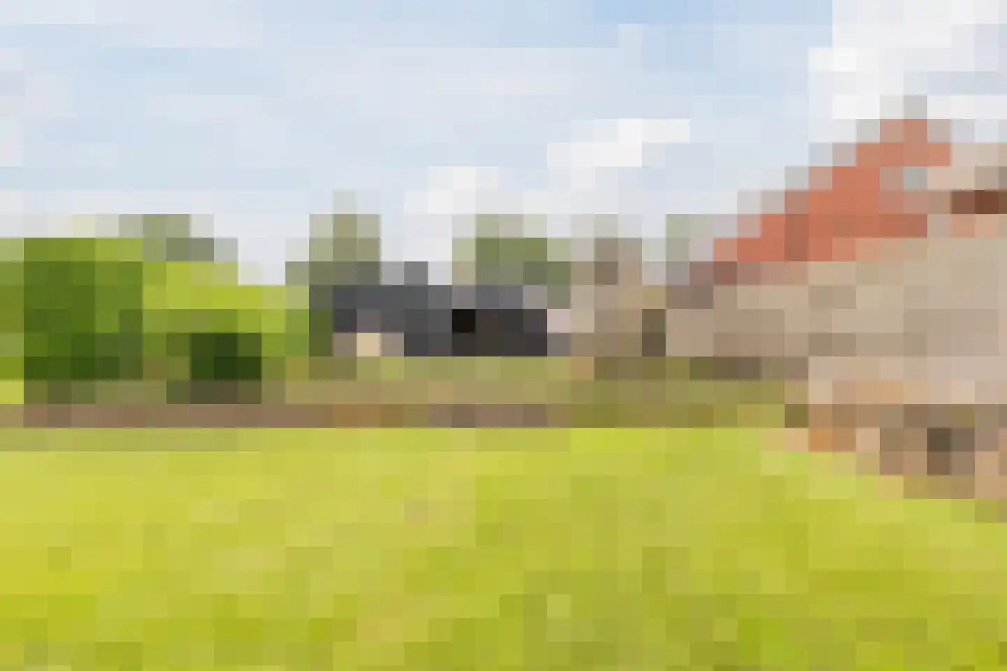 Zuiderdiep 461 Nieuw-Buinen thumbnail 46