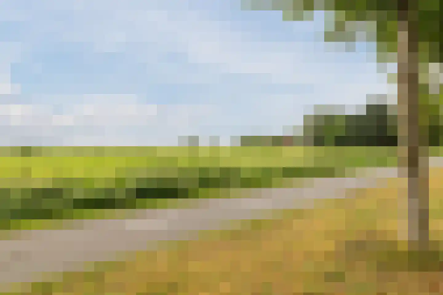 Zuiderdiep 461 Nieuw-Buinen thumbnail 47