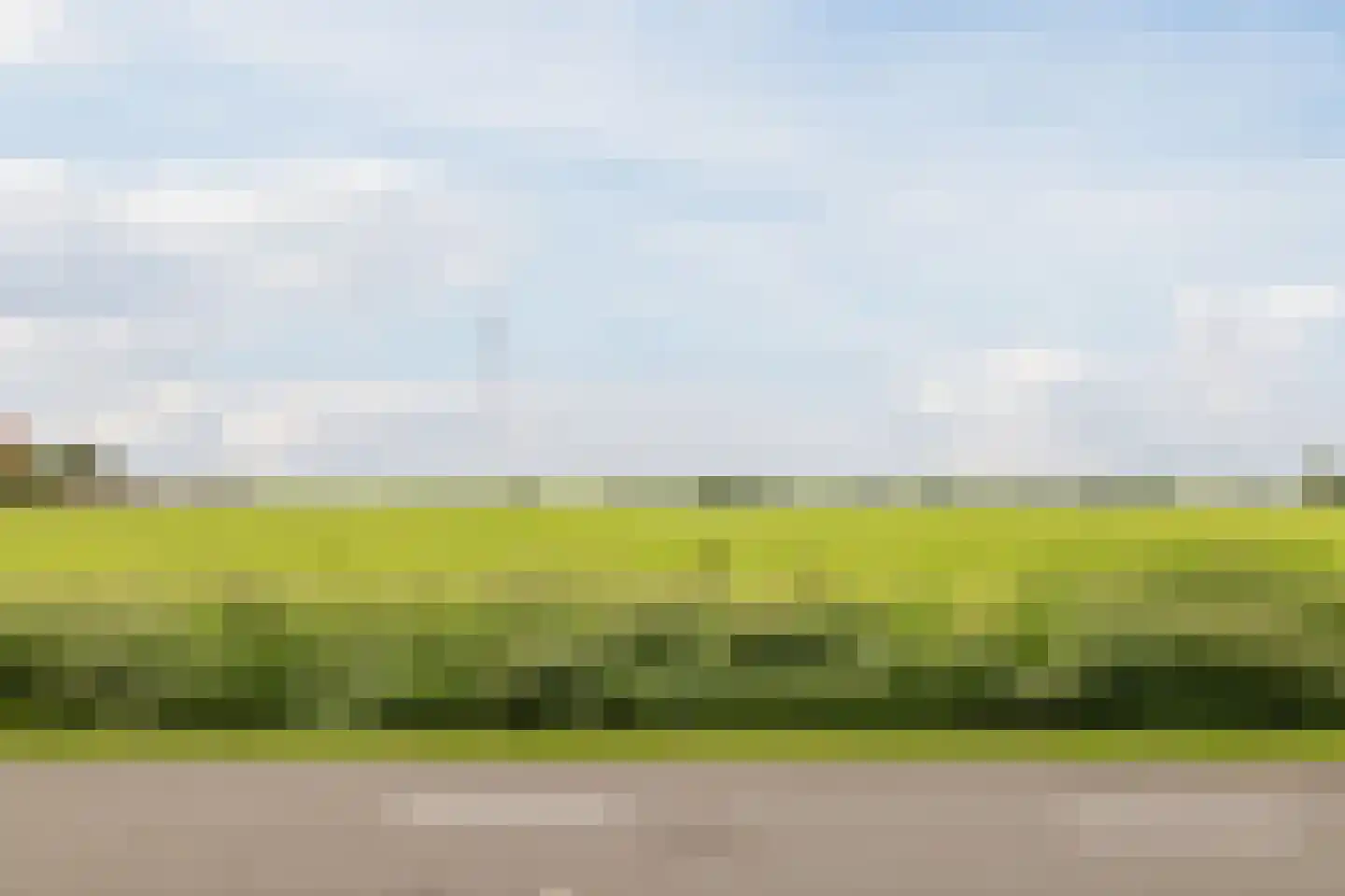 Zuiderdiep 461 Nieuw-Buinen thumbnail 48