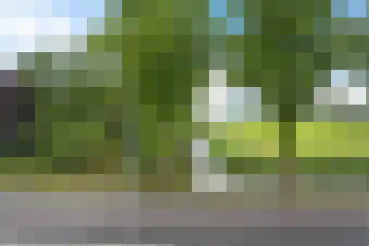 Zuiderdiep 472 Valthermond thumbnail 35
