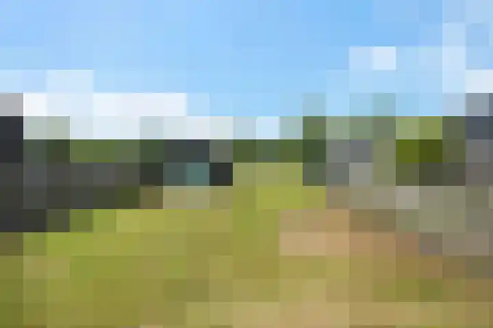 Zuiderdiep 472 Valthermond thumbnail 42