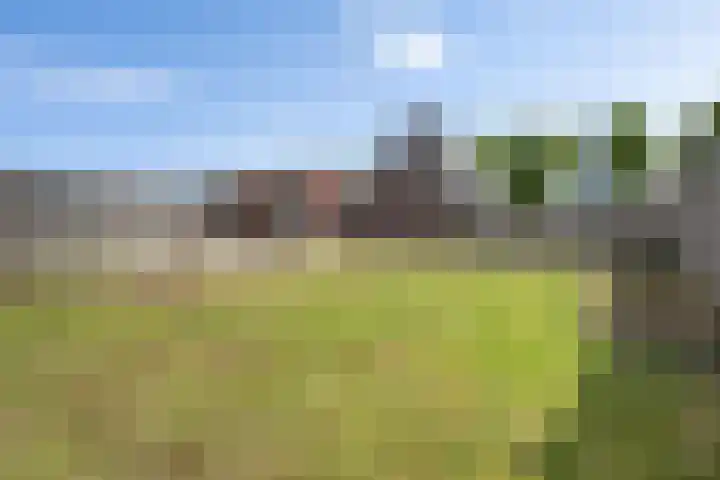 Zuiderdiep 472 Valthermond thumbnail 43
