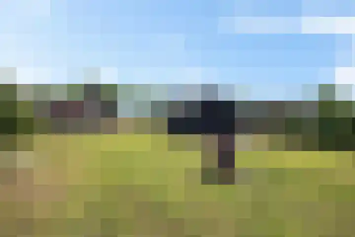Zuiderdiep 472 Valthermond thumbnail 45
