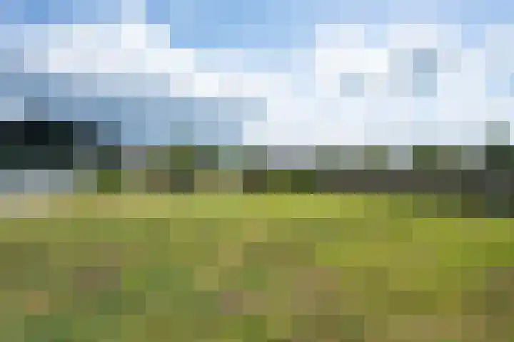 Zuiderdiep 472 Valthermond thumbnail 46