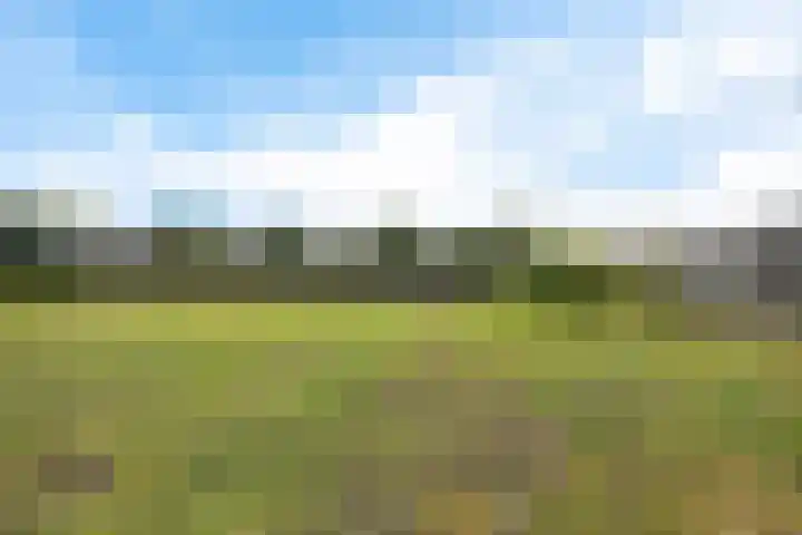 Zuiderdiep 472 Valthermond thumbnail 47