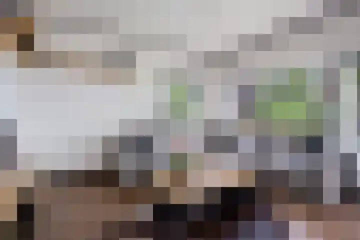 Zuiderdiep 472 Valthermond thumbnail 6