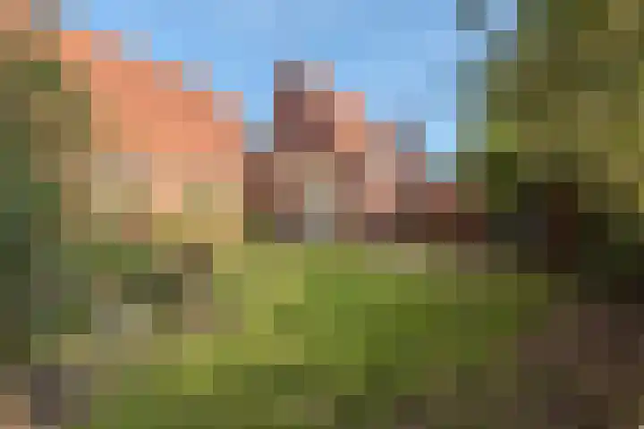 Zuiderdiep 481 Nieuw-Buinen foto 3