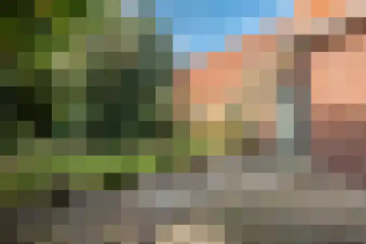 Zuiderdiep 481 Nieuw-Buinen thumbnail 34
