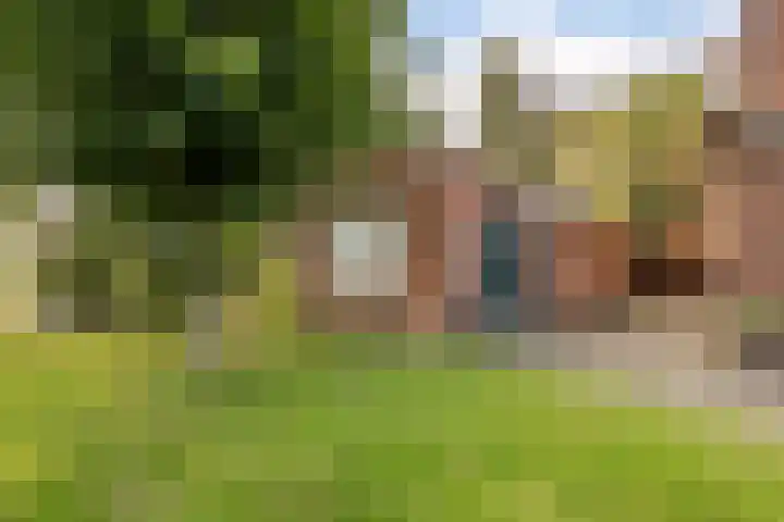 Zuiderdiep 481 Nieuw-Buinen thumbnail 35
