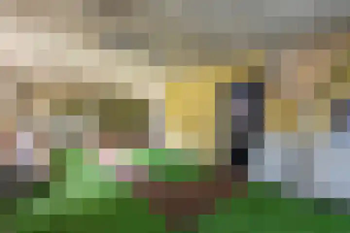 Zuiderdiep 481 Nieuw-Buinen thumbnail 36