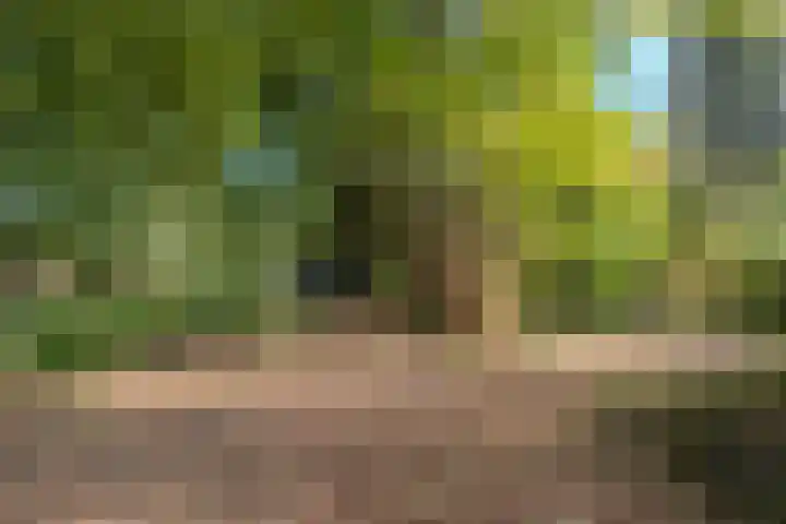 Zuiderdiep 481 Nieuw-Buinen thumbnail 37