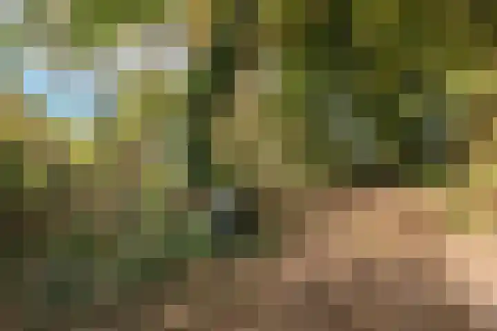 Zuiderdiep 481 Nieuw-Buinen thumbnail 38