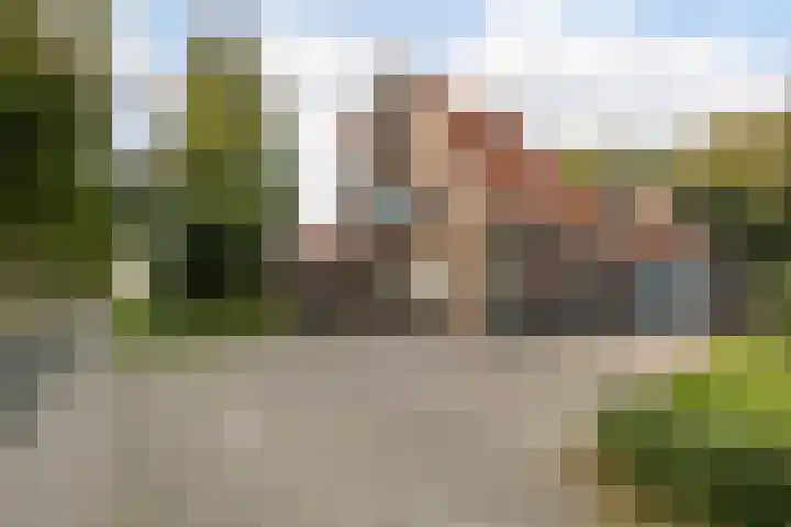 Zuiderdiep 481 Nieuw-Buinen thumbnail 5