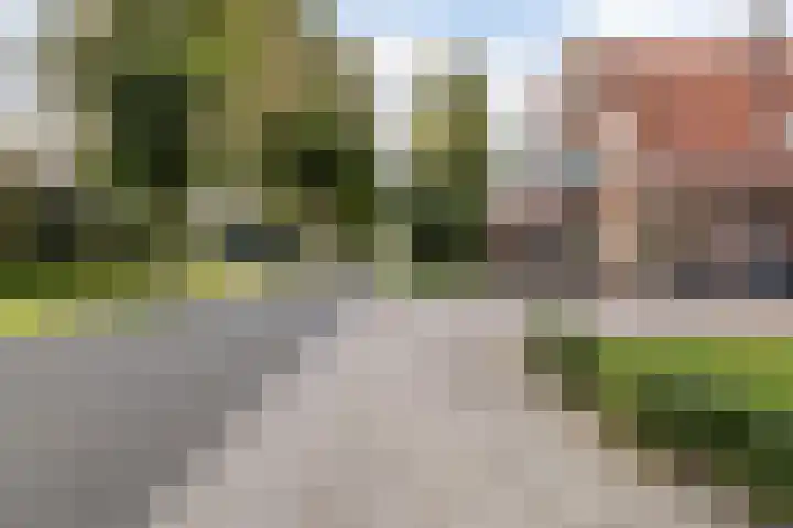Zuiderdiep 481 Nieuw-Buinen thumbnail 6