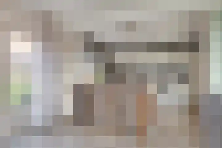 Zuiderdiep 483 Nieuw-Buinen thumbnail 16
