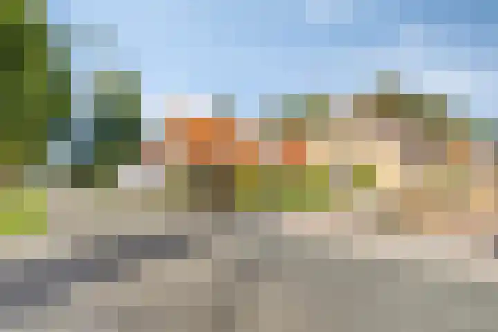 Zuiderdiep 483 Nieuw-Buinen thumbnail 4