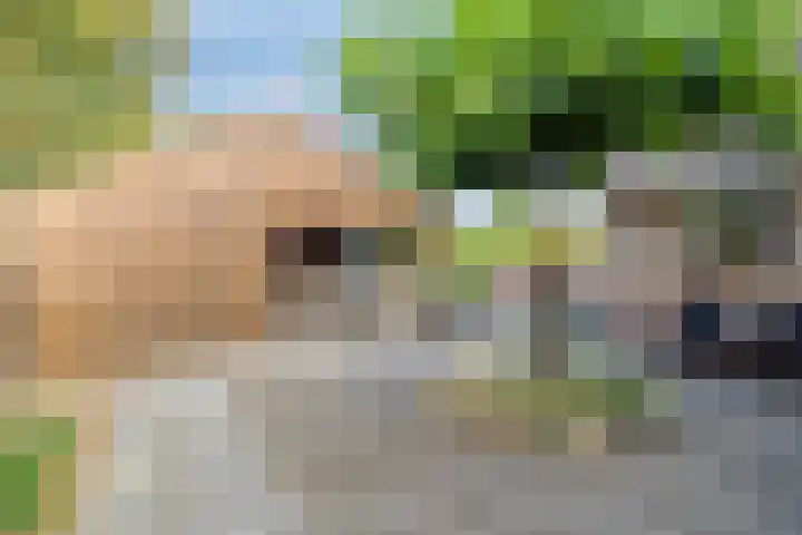 Zuiderdiep 483 Nieuw-Buinen thumbnail 44