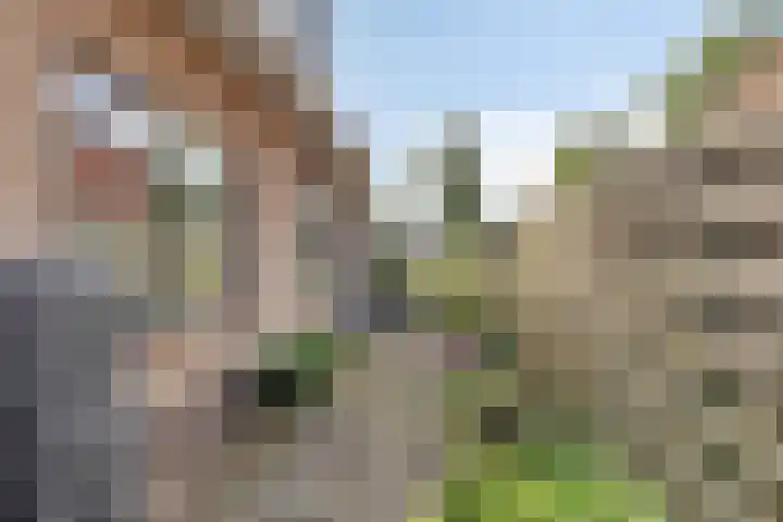 Zuiderdiep 483 Nieuw-Buinen thumbnail 45