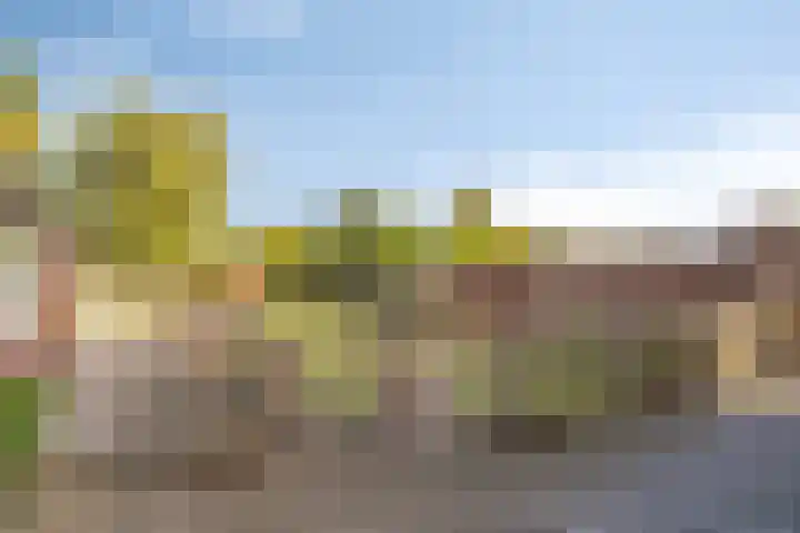 Zuiderdiep 483 Nieuw-Buinen thumbnail 47