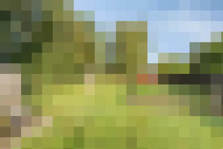 Zuiderdiep 483 Nieuw-Buinen thumbnail 48