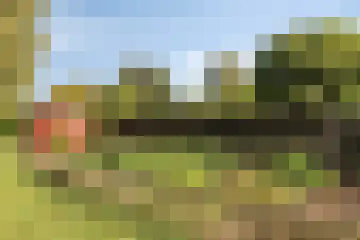 Zuiderdiep 483 Nieuw-Buinen thumbnail 49